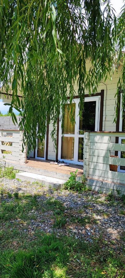 Lukomorye Pizunda Exteriör bild